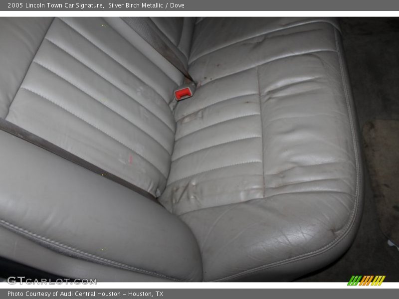 Silver Birch Metallic / Dove 2005 Lincoln Town Car Signature