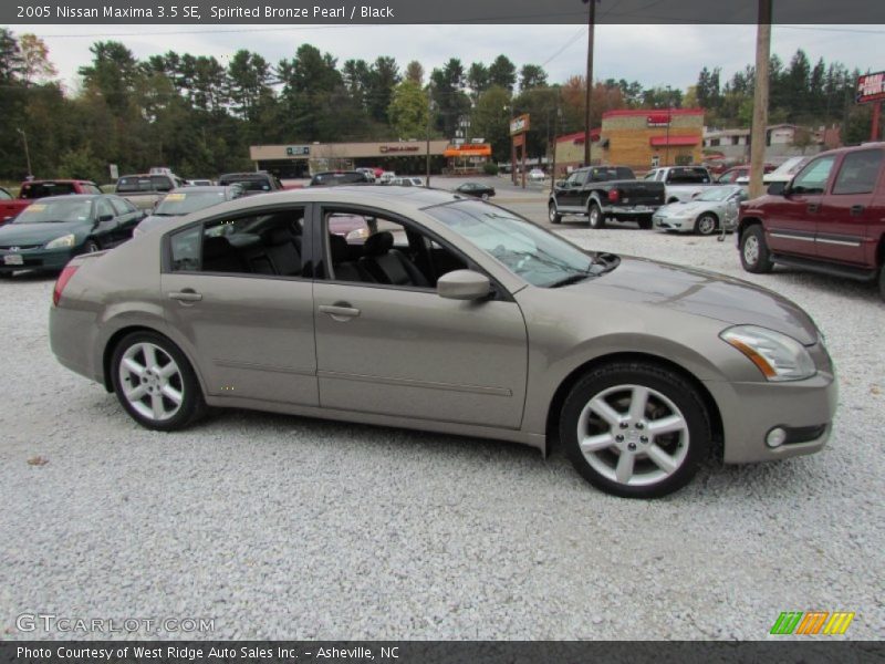 Spirited Bronze Pearl / Black 2005 Nissan Maxima 3.5 SE