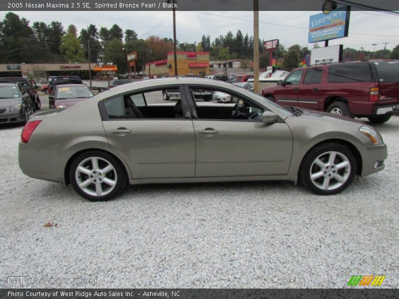 Spirited Bronze Pearl / Black 2005 Nissan Maxima 3.5 SE