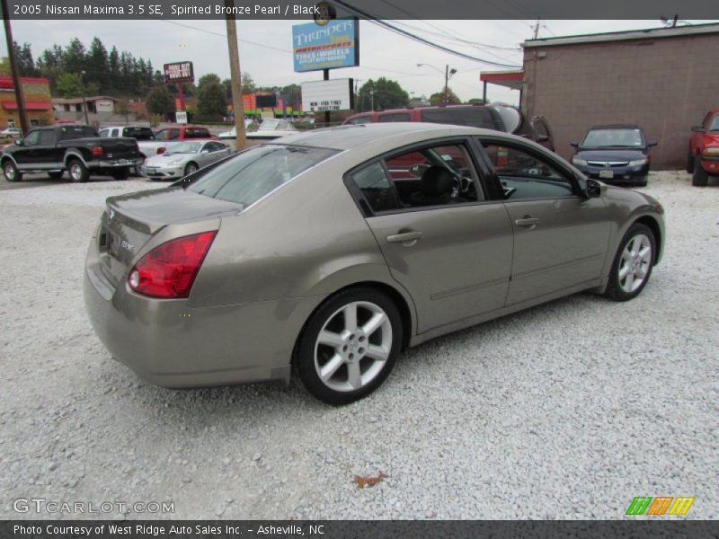 Spirited Bronze Pearl / Black 2005 Nissan Maxima 3.5 SE