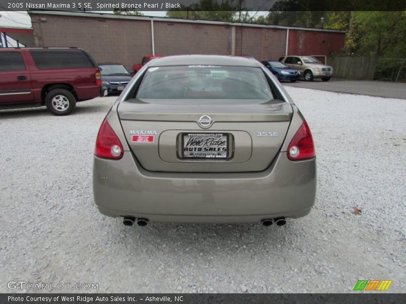 Spirited Bronze Pearl / Black 2005 Nissan Maxima 3.5 SE