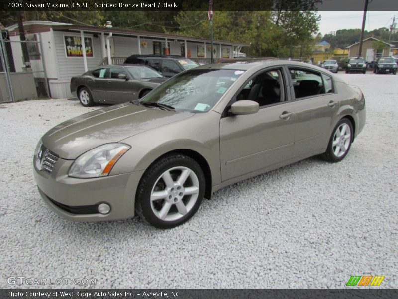 Spirited Bronze Pearl / Black 2005 Nissan Maxima 3.5 SE