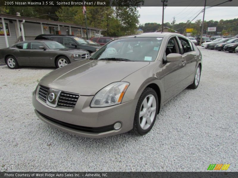 Spirited Bronze Pearl / Black 2005 Nissan Maxima 3.5 SE