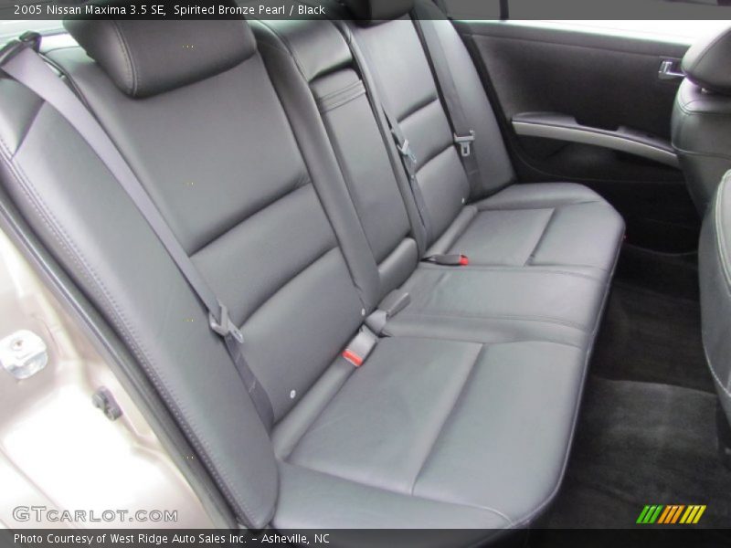 Spirited Bronze Pearl / Black 2005 Nissan Maxima 3.5 SE