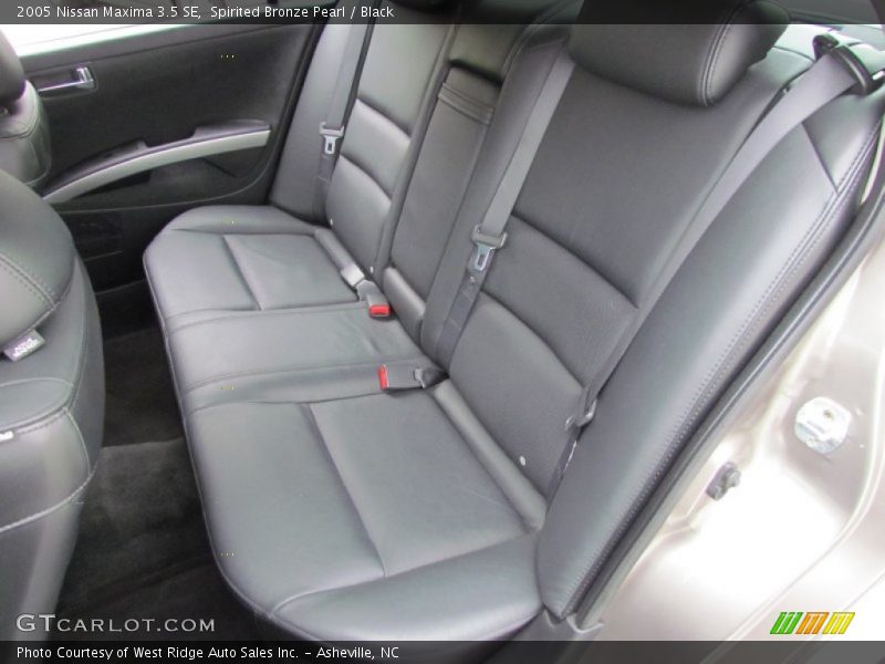 Spirited Bronze Pearl / Black 2005 Nissan Maxima 3.5 SE