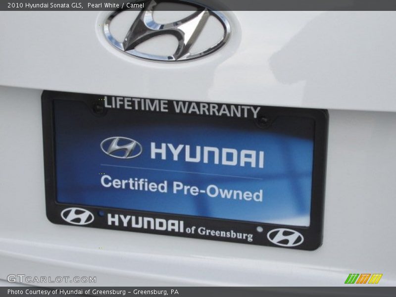 Pearl White / Camel 2010 Hyundai Sonata GLS