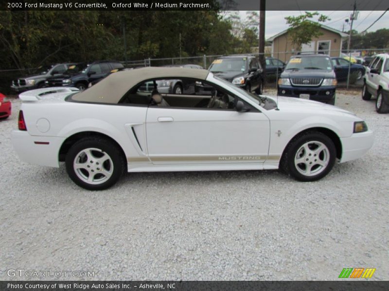 Oxford White / Medium Parchment 2002 Ford Mustang V6 Convertible
