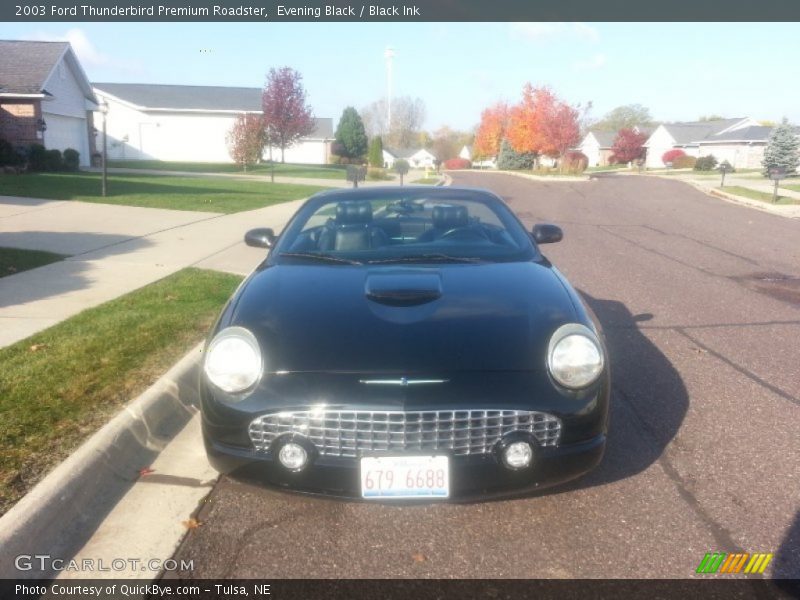 Evening Black / Black Ink 2003 Ford Thunderbird Premium Roadster