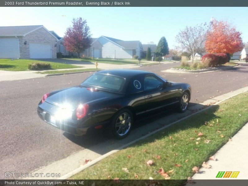 Evening Black / Black Ink 2003 Ford Thunderbird Premium Roadster