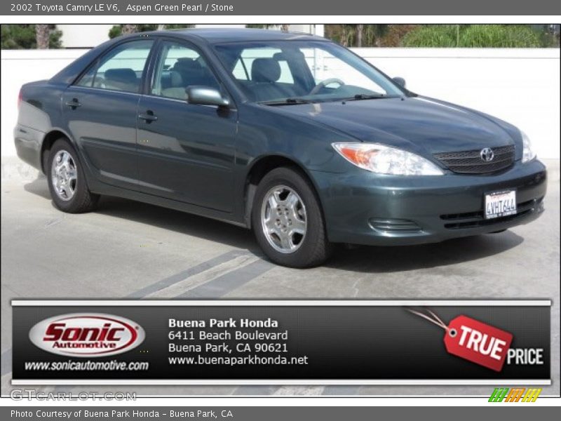 Aspen Green Pearl / Stone 2002 Toyota Camry LE V6