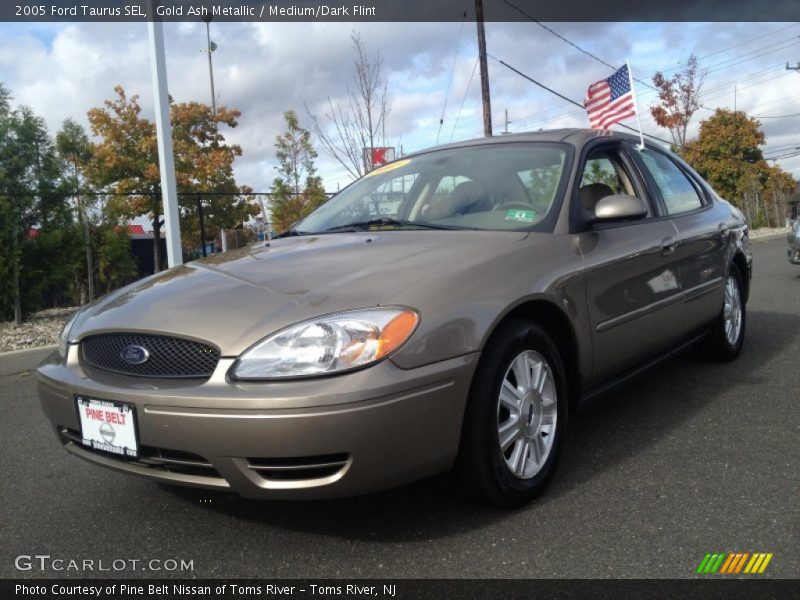 Gold Ash Metallic / Medium/Dark Flint 2005 Ford Taurus SEL