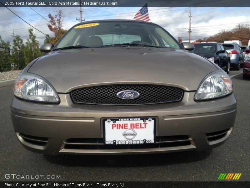 Gold Ash Metallic / Medium/Dark Flint 2005 Ford Taurus SEL