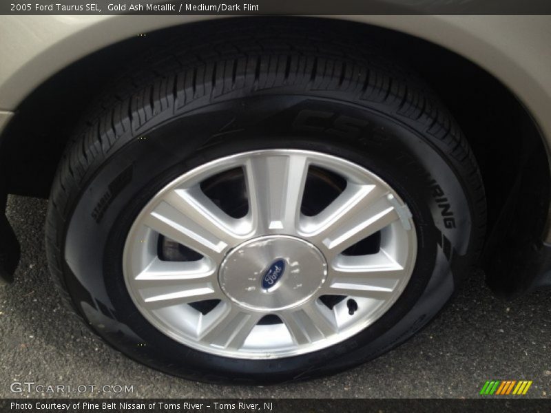 Gold Ash Metallic / Medium/Dark Flint 2005 Ford Taurus SEL