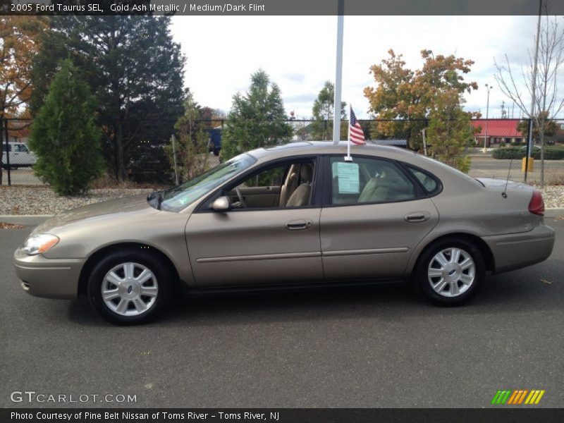 Gold Ash Metallic / Medium/Dark Flint 2005 Ford Taurus SEL