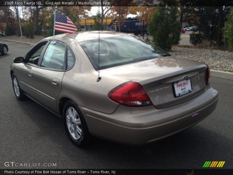 Gold Ash Metallic / Medium/Dark Flint 2005 Ford Taurus SEL