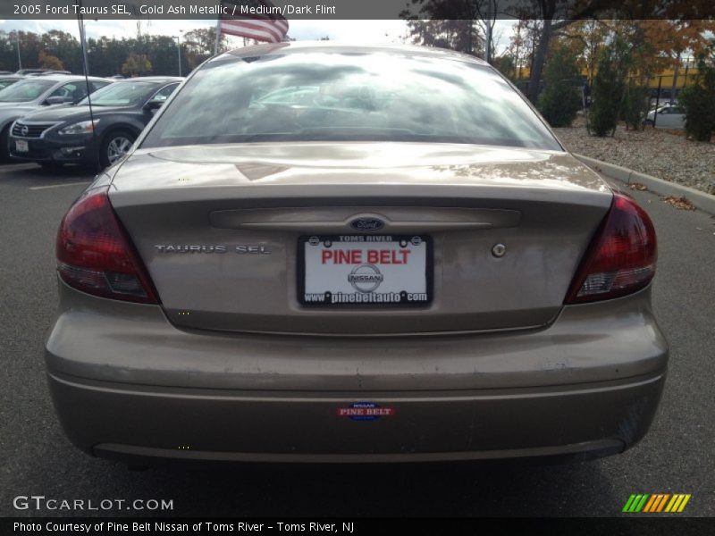 Gold Ash Metallic / Medium/Dark Flint 2005 Ford Taurus SEL