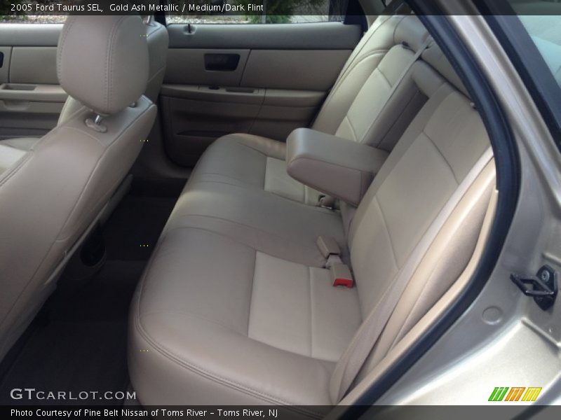 Gold Ash Metallic / Medium/Dark Flint 2005 Ford Taurus SEL