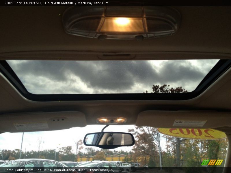 Gold Ash Metallic / Medium/Dark Flint 2005 Ford Taurus SEL