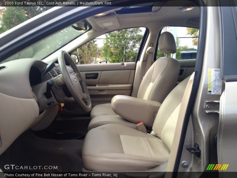 Gold Ash Metallic / Medium/Dark Flint 2005 Ford Taurus SEL