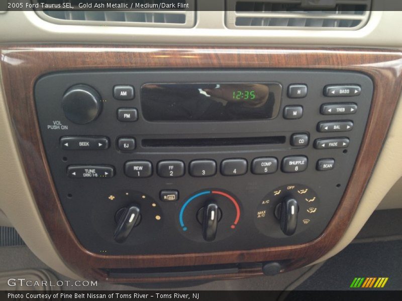 Gold Ash Metallic / Medium/Dark Flint 2005 Ford Taurus SEL