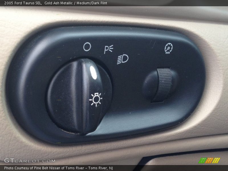 Gold Ash Metallic / Medium/Dark Flint 2005 Ford Taurus SEL