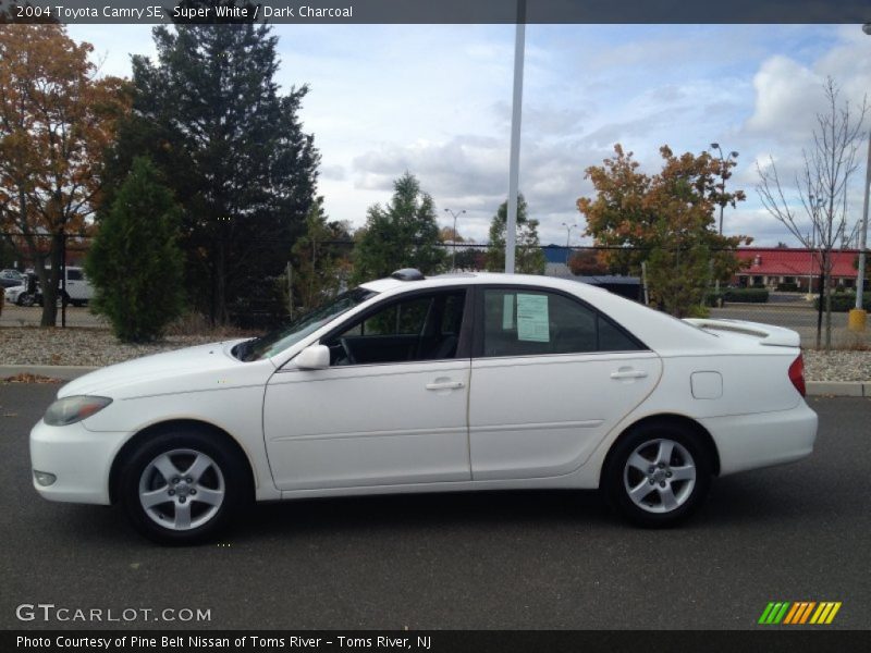 Super White / Dark Charcoal 2004 Toyota Camry SE