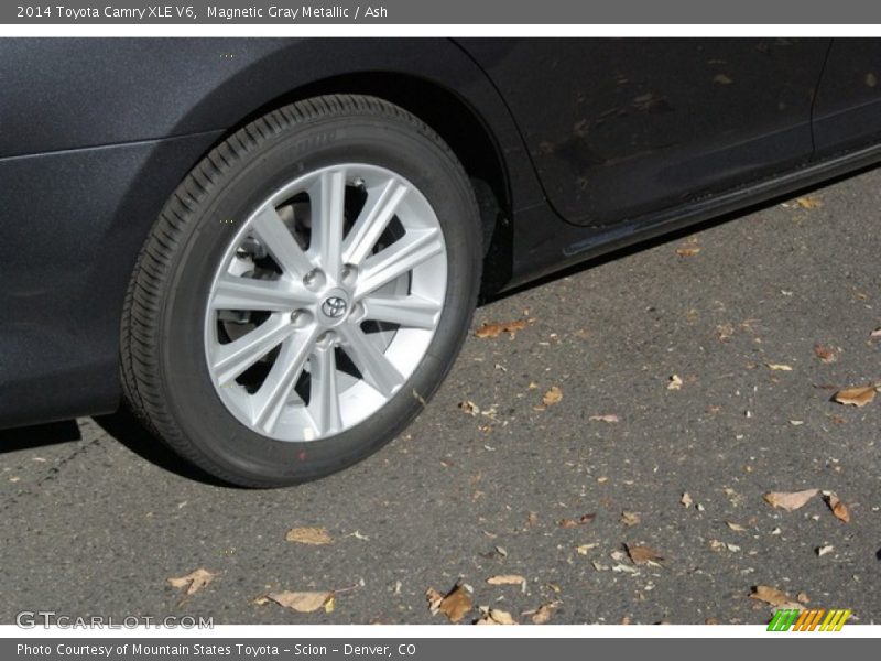 Magnetic Gray Metallic / Ash 2014 Toyota Camry XLE V6