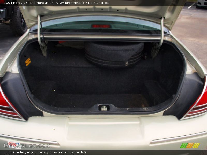 Silver Birch Metallic / Dark Charcoal 2004 Mercury Grand Marquis GS
