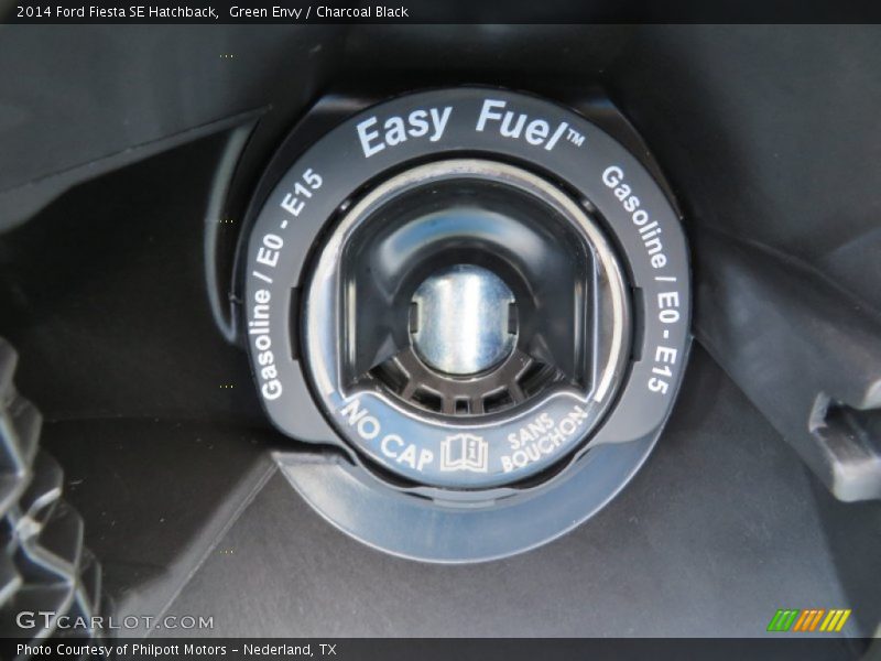 Green Envy / Charcoal Black 2014 Ford Fiesta SE Hatchback