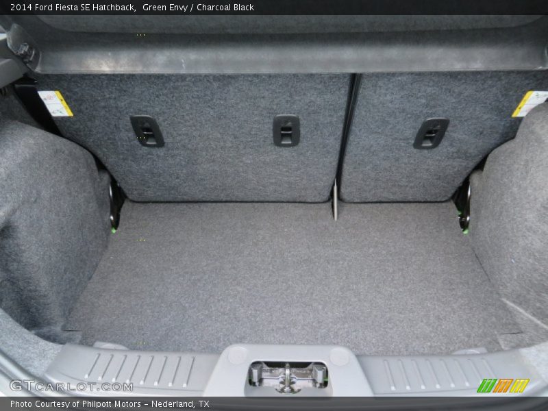 Green Envy / Charcoal Black 2014 Ford Fiesta SE Hatchback
