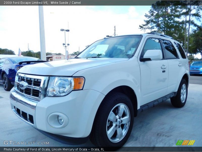 White Suede / Camel 2009 Ford Escape Limited V6