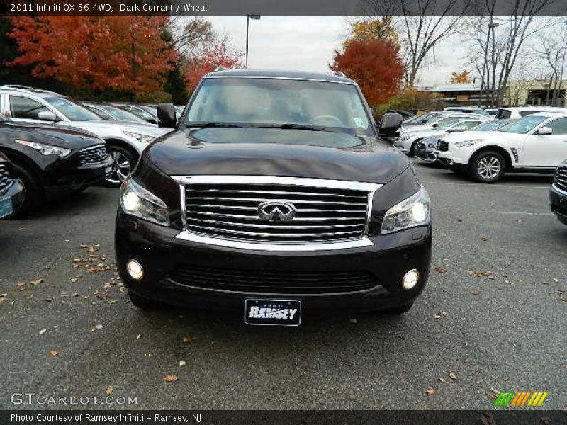 Dark Currant / Wheat 2011 Infiniti QX 56 4WD