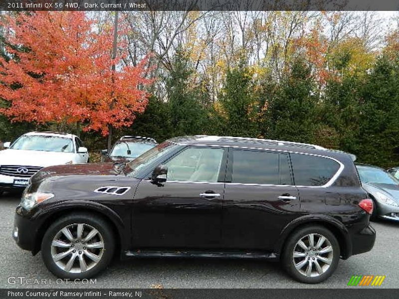 Dark Currant / Wheat 2011 Infiniti QX 56 4WD