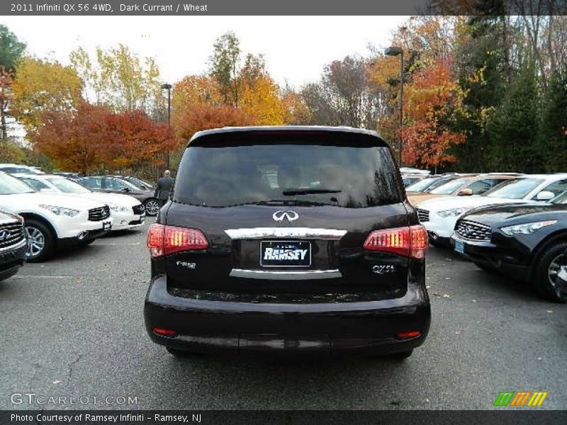Dark Currant / Wheat 2011 Infiniti QX 56 4WD