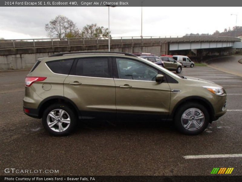 Ginger Ale / Charcoal Black 2014 Ford Escape SE 1.6L EcoBoost 4WD