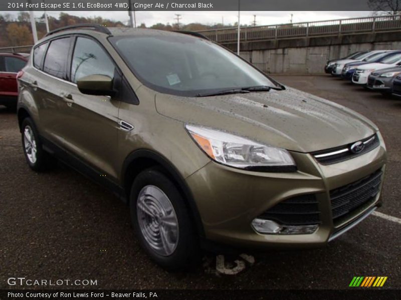 Ginger Ale / Charcoal Black 2014 Ford Escape SE 1.6L EcoBoost 4WD