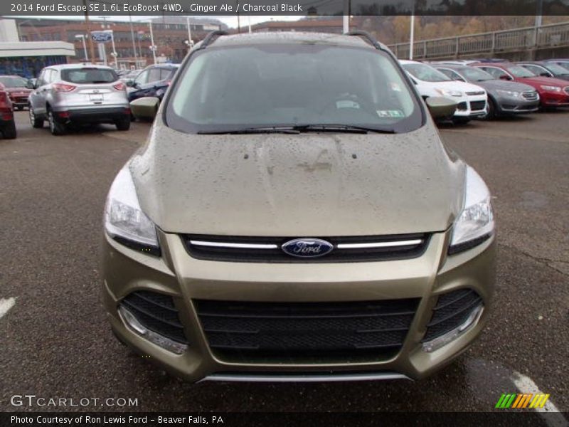 Ginger Ale / Charcoal Black 2014 Ford Escape SE 1.6L EcoBoost 4WD