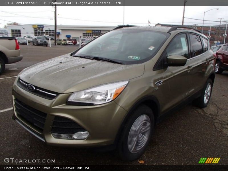 Ginger Ale / Charcoal Black 2014 Ford Escape SE 1.6L EcoBoost 4WD