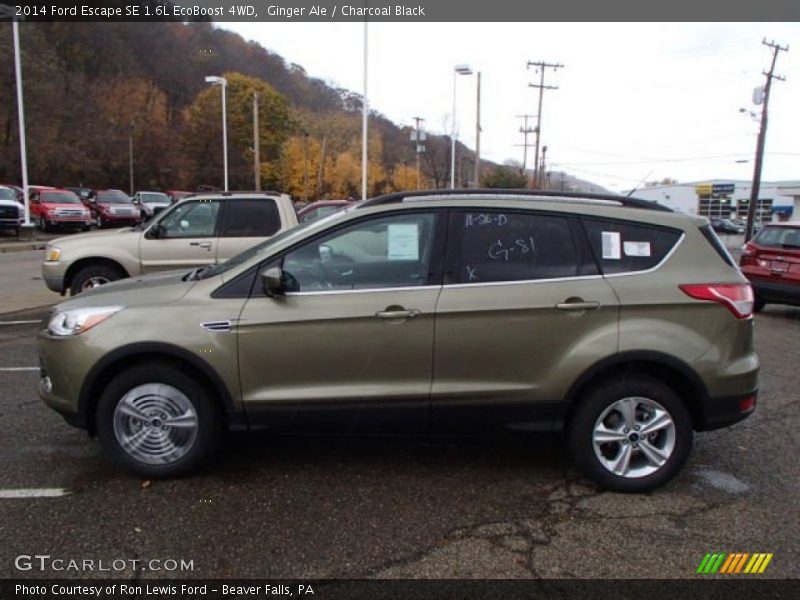 Ginger Ale / Charcoal Black 2014 Ford Escape SE 1.6L EcoBoost 4WD