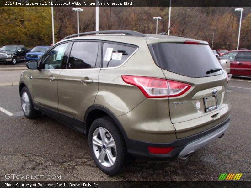 Ginger Ale / Charcoal Black 2014 Ford Escape SE 1.6L EcoBoost 4WD