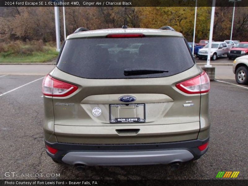 Ginger Ale / Charcoal Black 2014 Ford Escape SE 1.6L EcoBoost 4WD