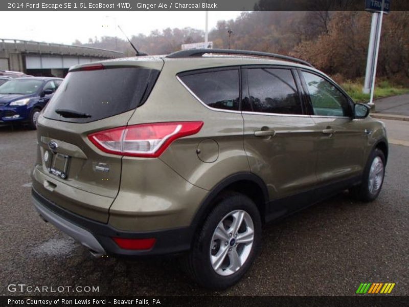 Ginger Ale / Charcoal Black 2014 Ford Escape SE 1.6L EcoBoost 4WD