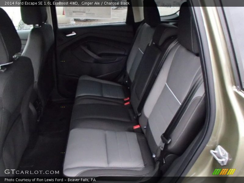 Ginger Ale / Charcoal Black 2014 Ford Escape SE 1.6L EcoBoost 4WD