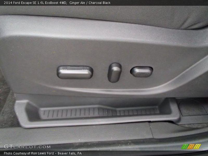 Ginger Ale / Charcoal Black 2014 Ford Escape SE 1.6L EcoBoost 4WD