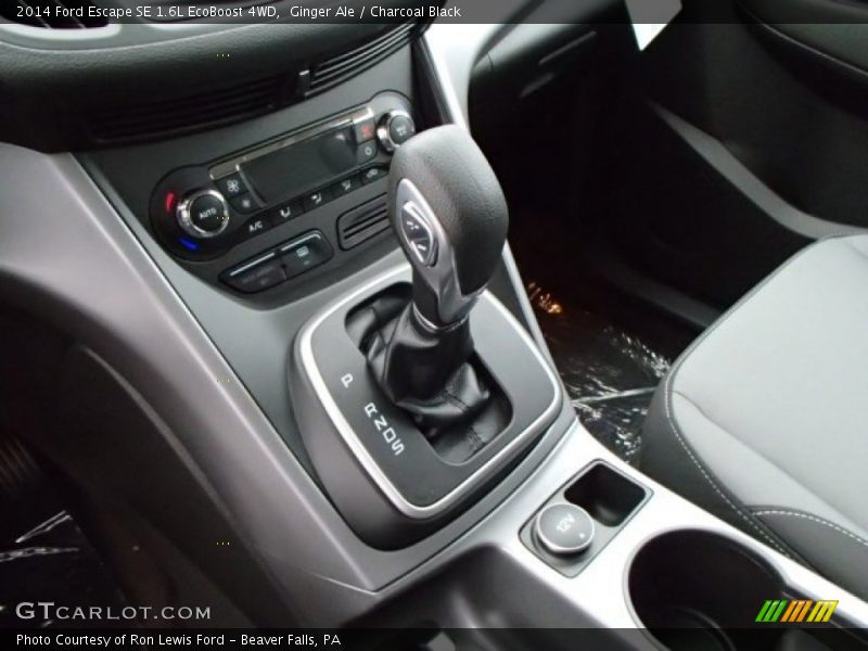 Ginger Ale / Charcoal Black 2014 Ford Escape SE 1.6L EcoBoost 4WD