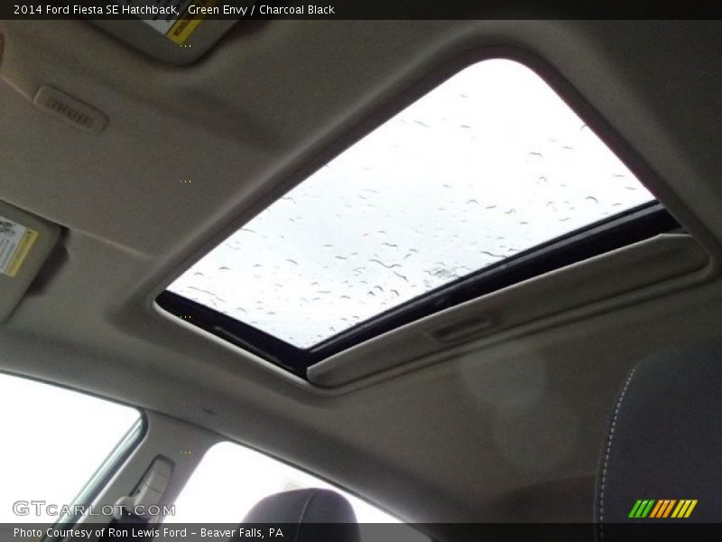 Green Envy / Charcoal Black 2014 Ford Fiesta SE Hatchback