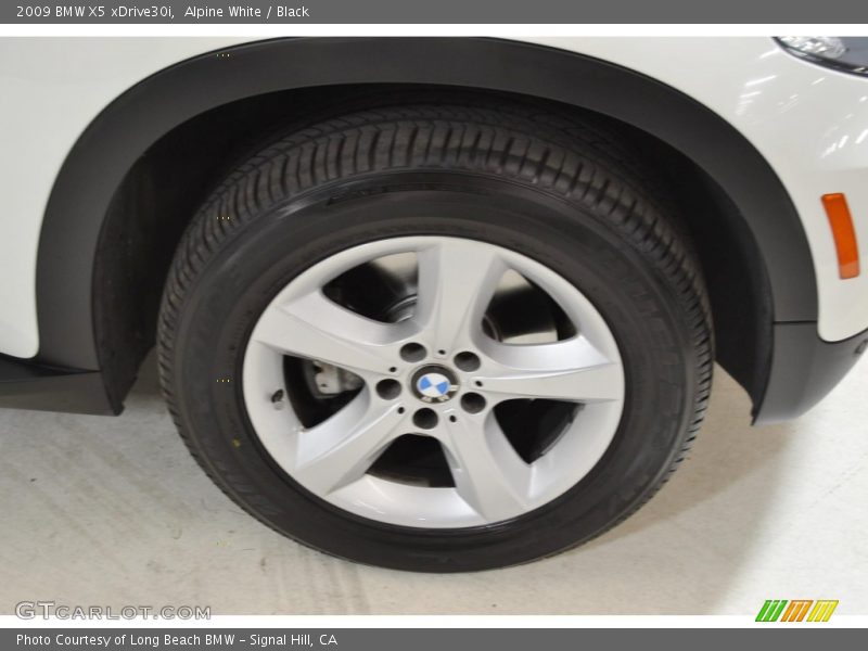 Alpine White / Black 2009 BMW X5 xDrive30i