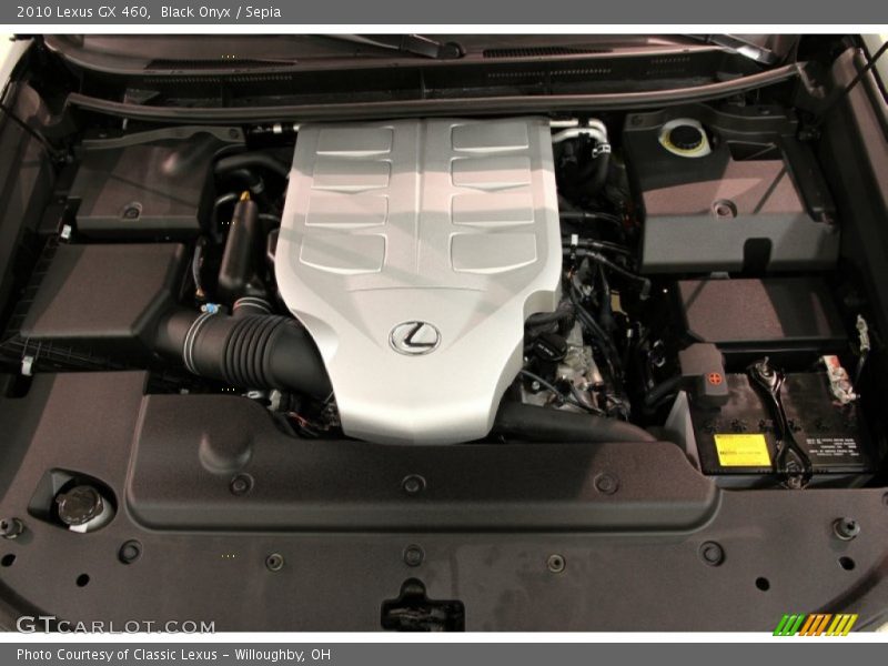 Black Onyx / Sepia 2010 Lexus GX 460