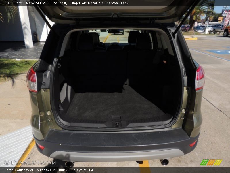 Ginger Ale Metallic / Charcoal Black 2013 Ford Escape SEL 2.0L EcoBoost