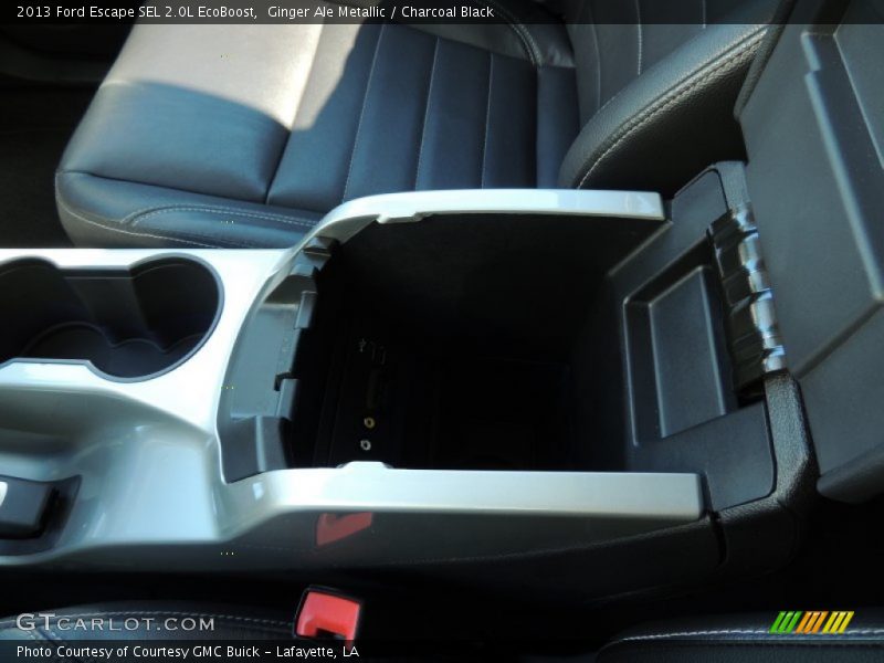 Ginger Ale Metallic / Charcoal Black 2013 Ford Escape SEL 2.0L EcoBoost